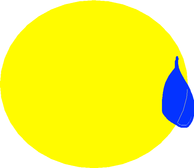 Pumpkin - Drawing Copy1 - Circle (648x563), Png Download