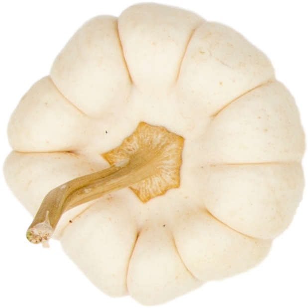 Pumpkin - Oyster Mushroom (866x650), Png Download