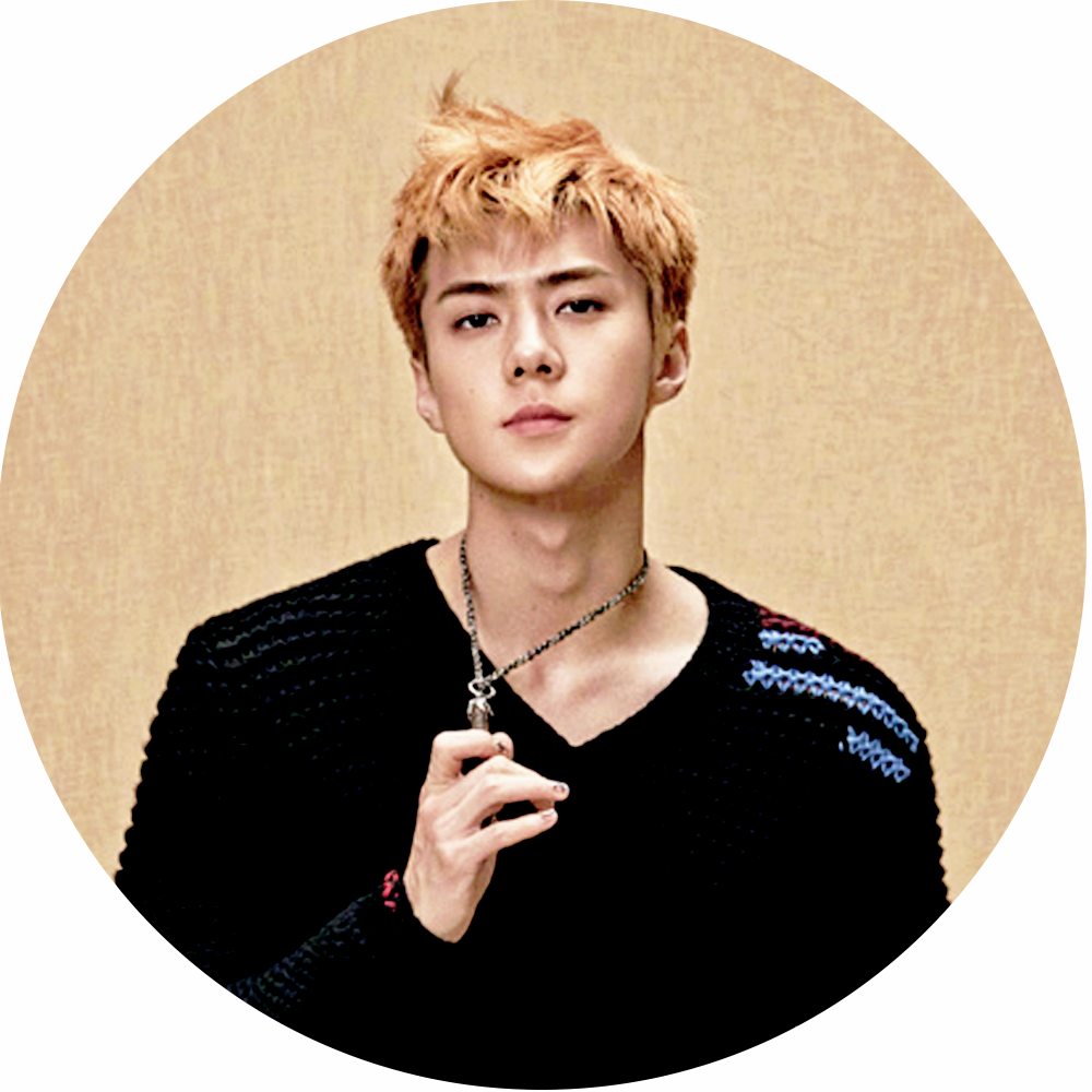 [edit/icon] Superelle - Sehun Magazine Super Elle (1000x1000), Png Download