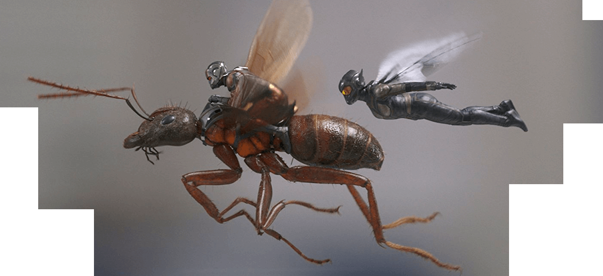 Ant Man And The Wasp - Ant Man Wasp Janet Van Dyne (1200x550), Png Download