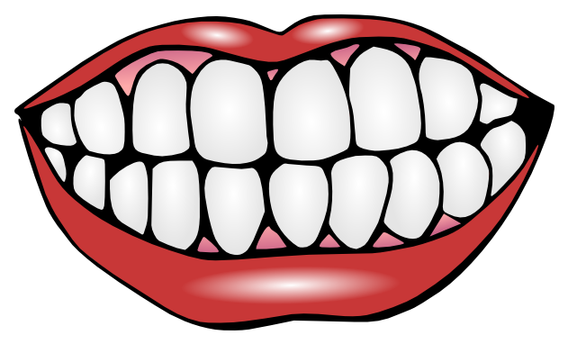 Services - Clip Art Of Teeth (700x450), Png Download