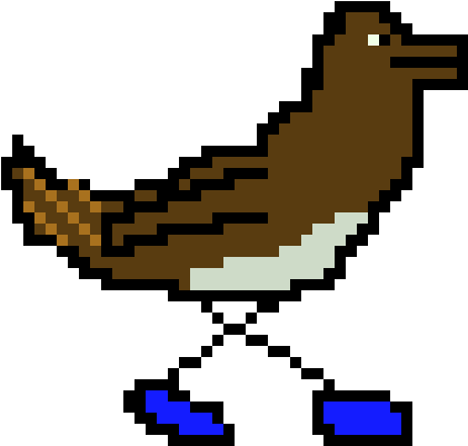 Roadrunner (800x870), Png Download