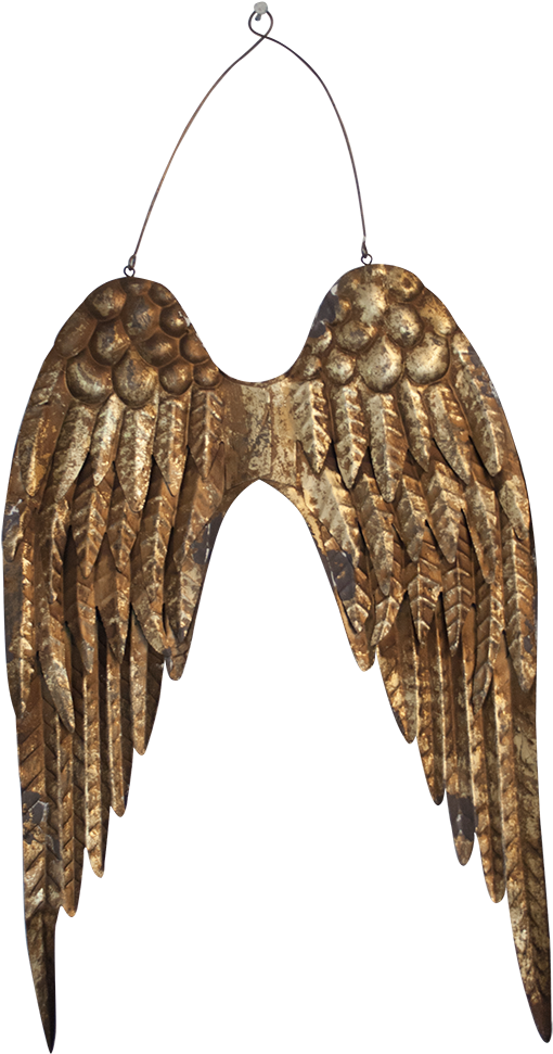 Gold Luxe Finish Angel Wings - Earrings (1000x1000), Png Download