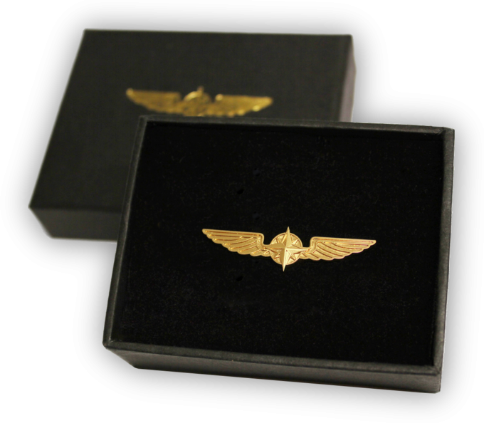 Design For Pilots Wings (680x594), Png Download