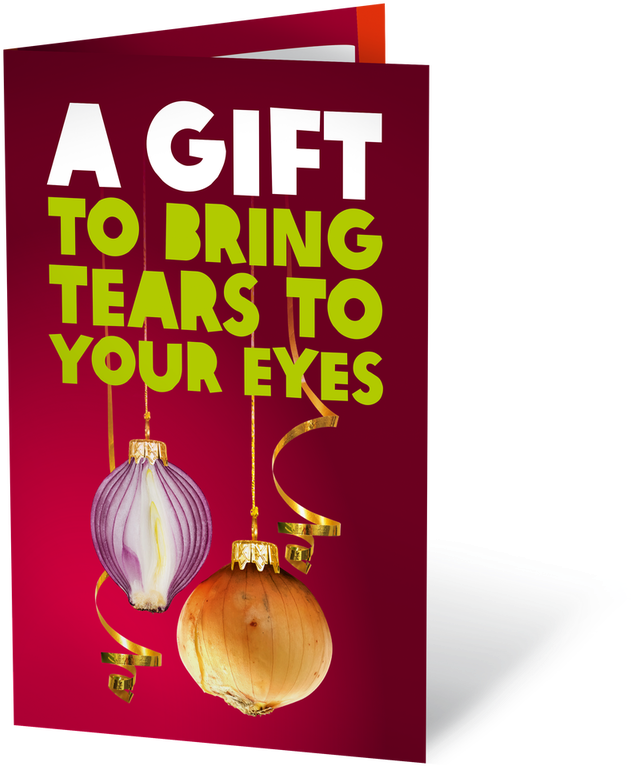 Christmas Onions Click Here To Enlarge - Book Cover (885x1024), Png Download