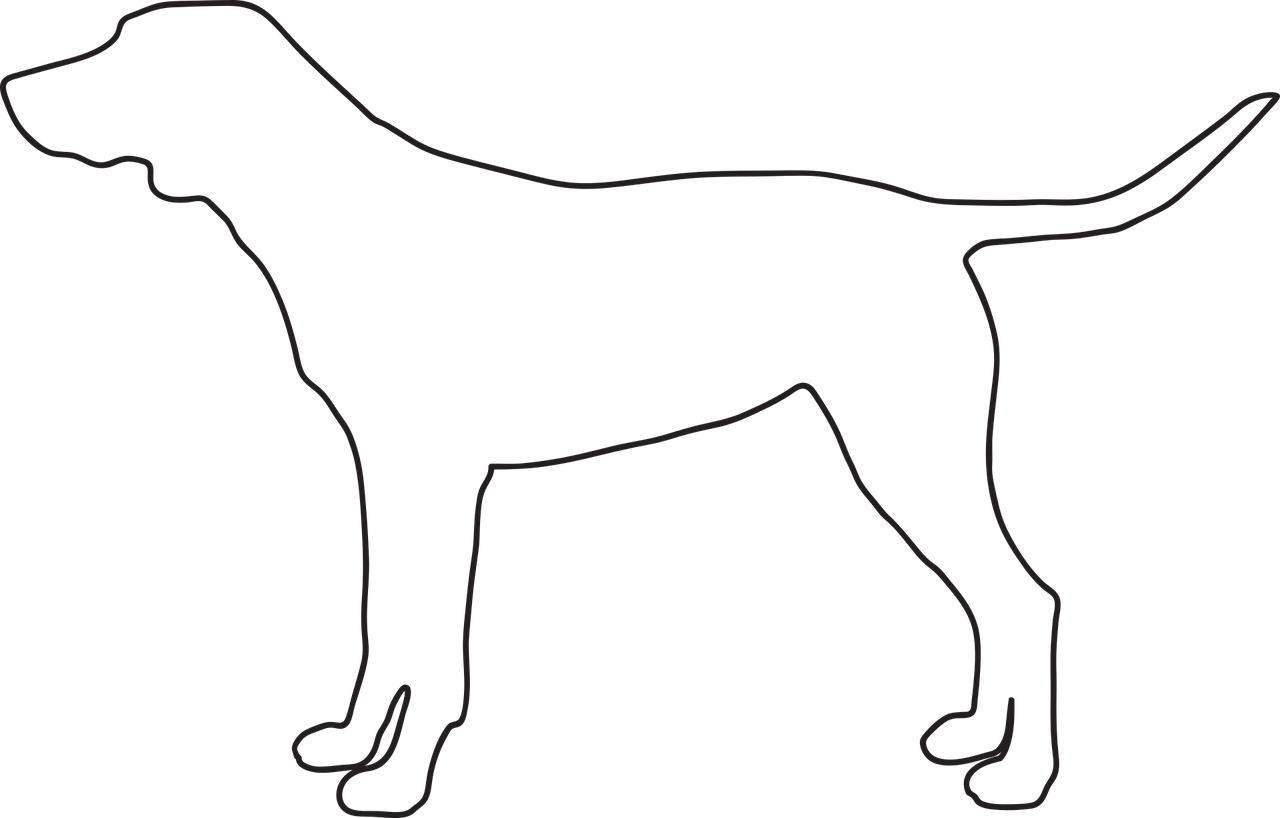 Dog Doggy Animal - Contorno De Perro (1280x818), Png Download