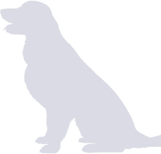 German Shepherd Dogoutline - Companion Dog (600x677), Png Download