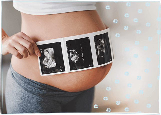 Estimated Weight Gain During Pregnancy - Pregnancy Ultrasound (740x475), Png Download