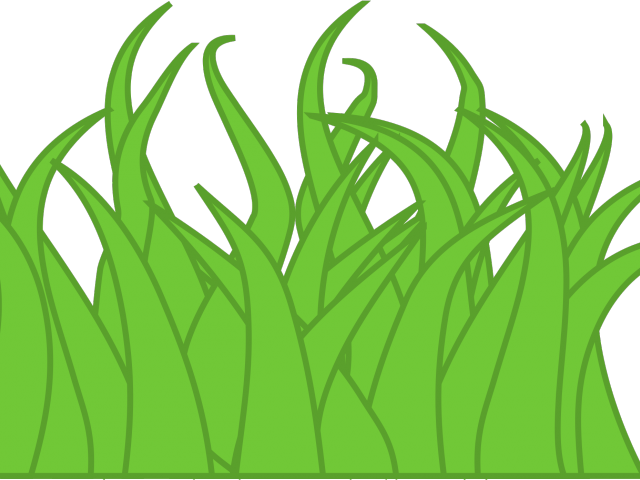 Lawn Clipart Long Grass - Drawing Of A Grass (640x480), Png Download