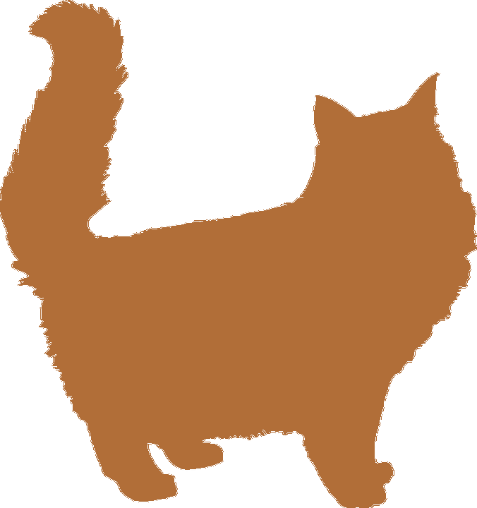 Foster - Maine Coon Cat Silhouette (676x720), Png Download