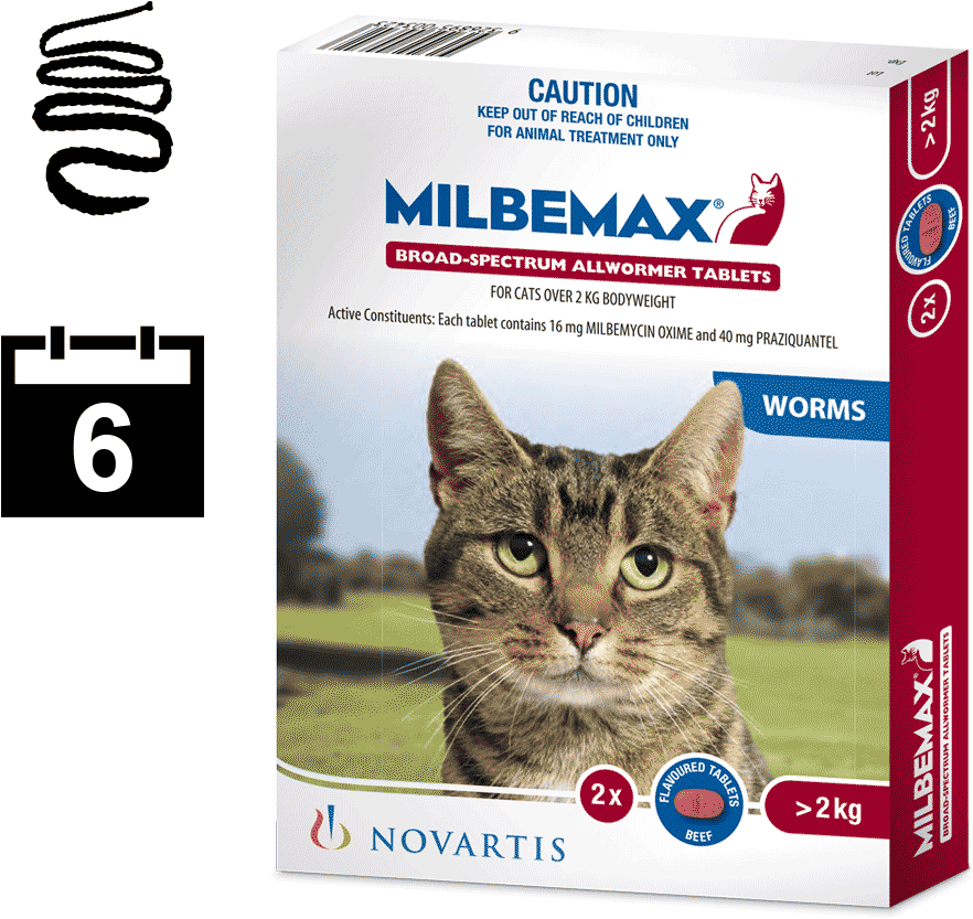 Milbemax For Cats - Milbemax Cat Milbemax Canada (1000x1000), Png Download