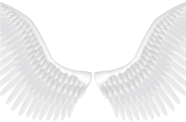 Black And White Wings - Realistic Angel Wings Vector (640x480), Png Download