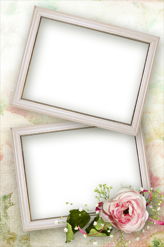 Picture Frame (533x800), Png Download