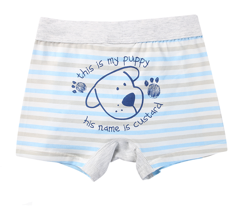 Boy Boxer Briefs Colorful Striped Puppy Underwear - Underpants (800x800), Png Download