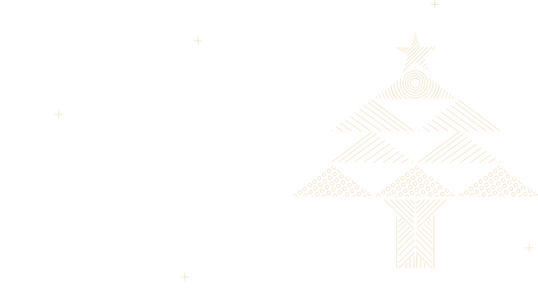 As Part Of Our Annual Congregational Meeting, Our Youth - Christmas Tree (1924x1080), Png Download