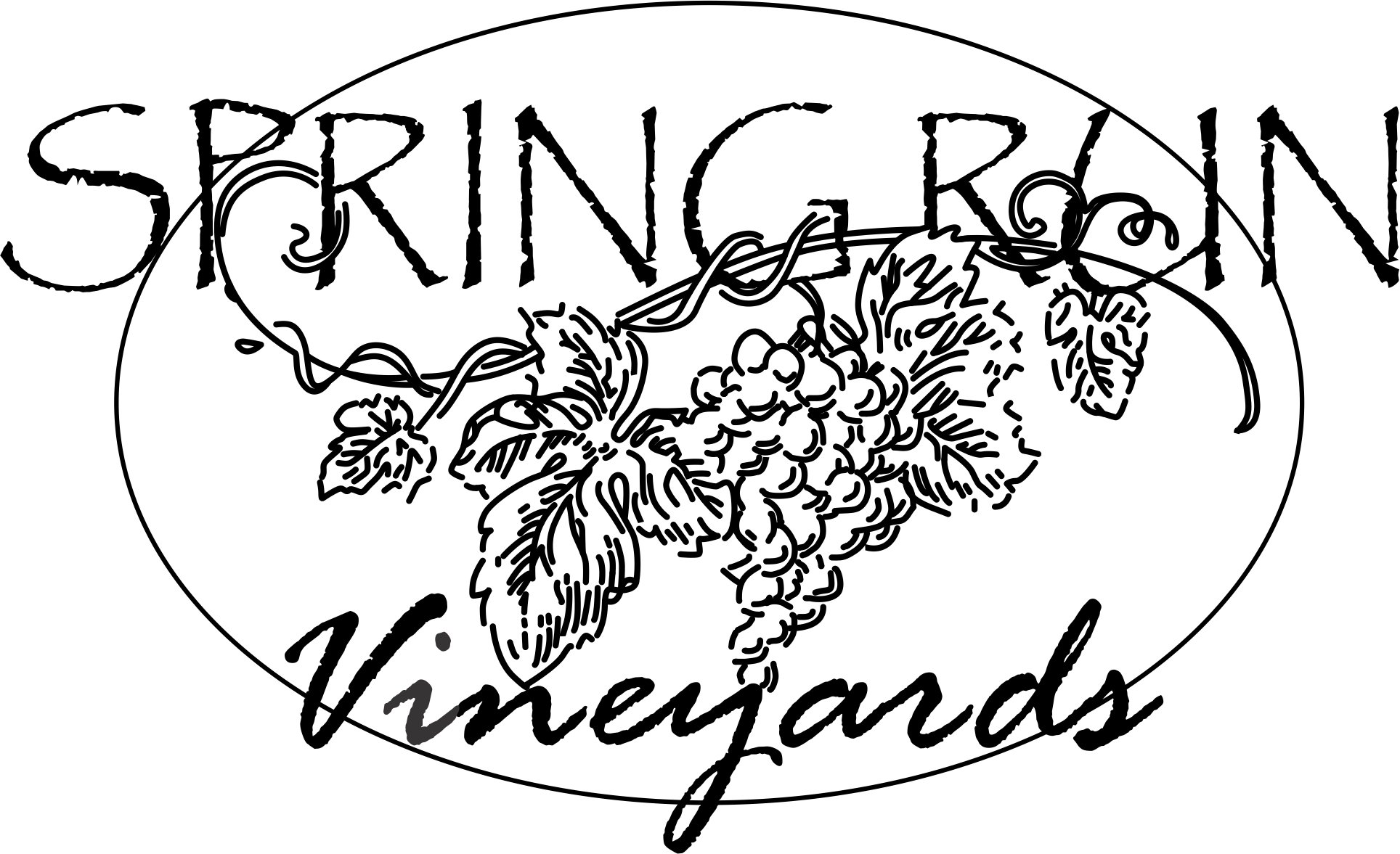 Cheese Drawing Vineyard - Illustration (1928x1177), Png Download