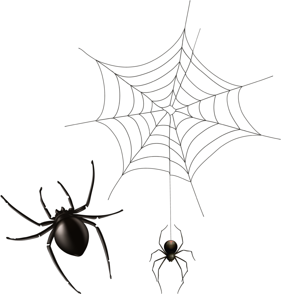 Halloween Cobwebs Clipart 7 Spider Web Png Bear - Painted Spider (1012x1024), Png Download