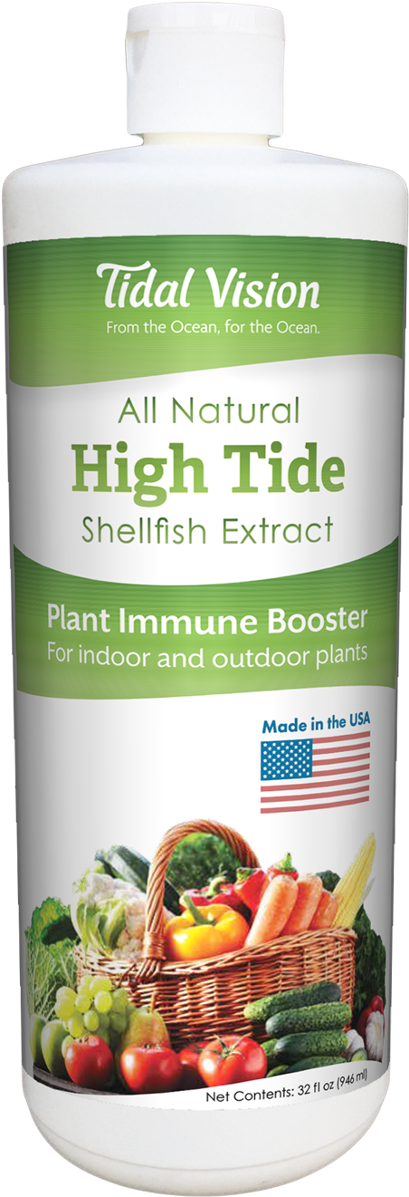 High Tide Prototype - Superfood (973x1500), Png Download