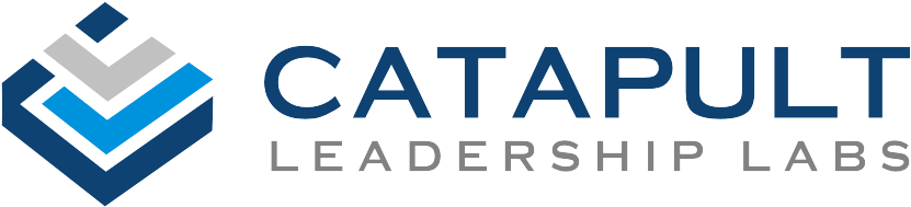 Catapult Leadership Labs - Graphics (1012x369), Png Download