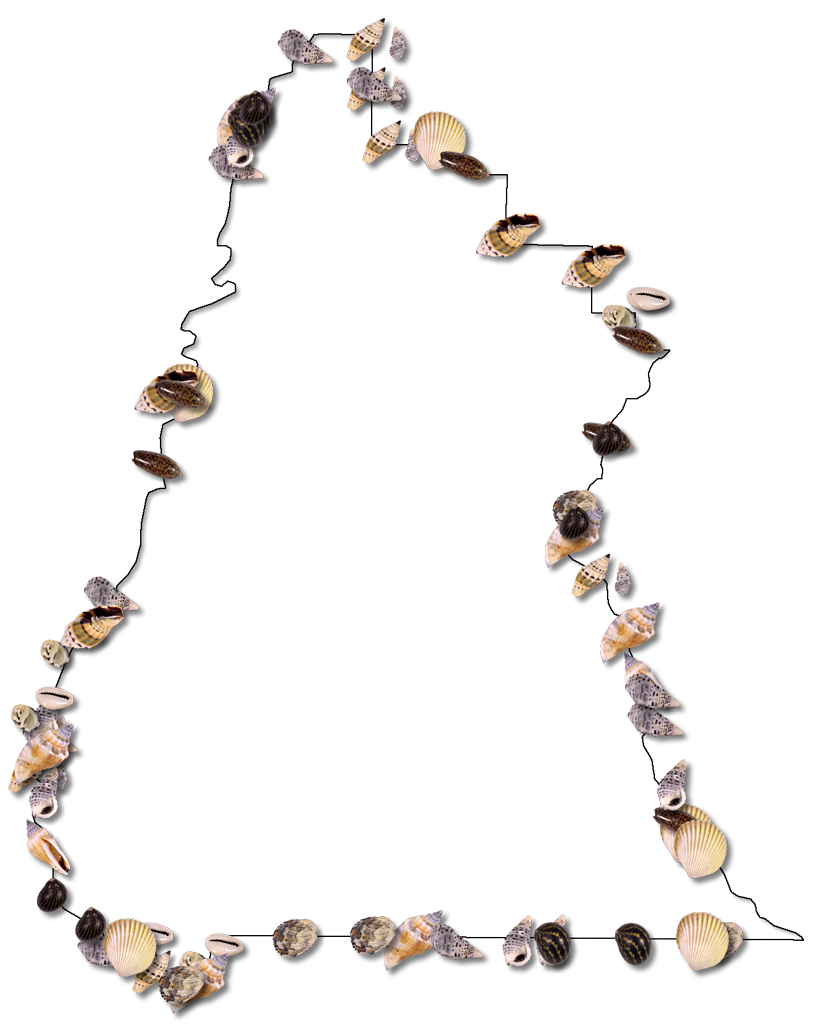 A Map Of Liberty With A Thin Black Outline, Inner Drop - Shell (836x1024), Png Download