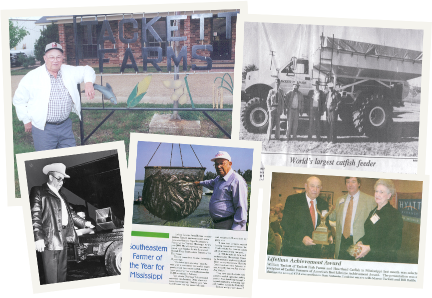 Heartland Catfish Company Tackett Farms William Tackett - Military (875x600), Png Download