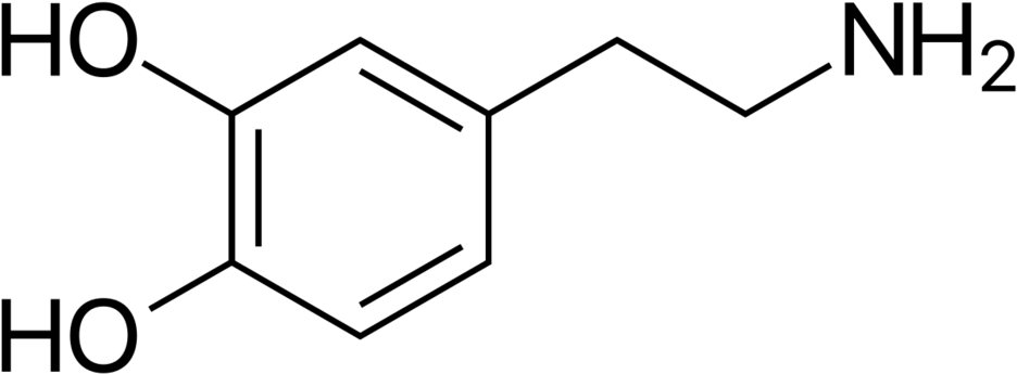 Png - Dopamine Svg (1000x410), Png Download