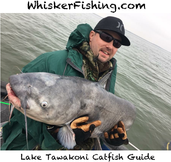 Lake Tawakoni Fishing Report - Pull Fish Out Of Water (575x575), Png Download