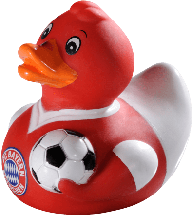 Duck (660x660), Png Download