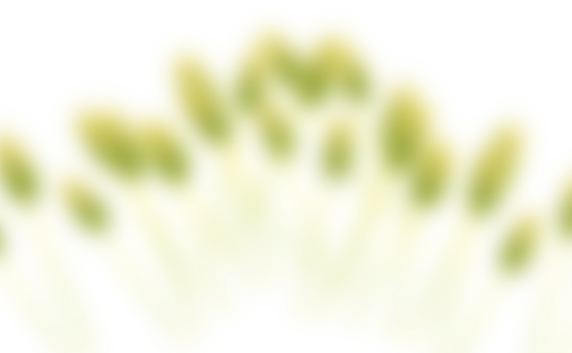 Slide B 2 - North Shore House (825x510), Png Download