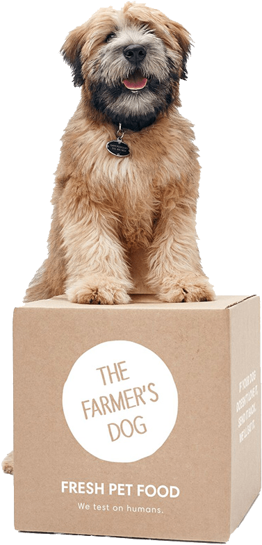 Dog Sitting On The Farmers Dog Package - Subscription Petfood (582x794), Png Download