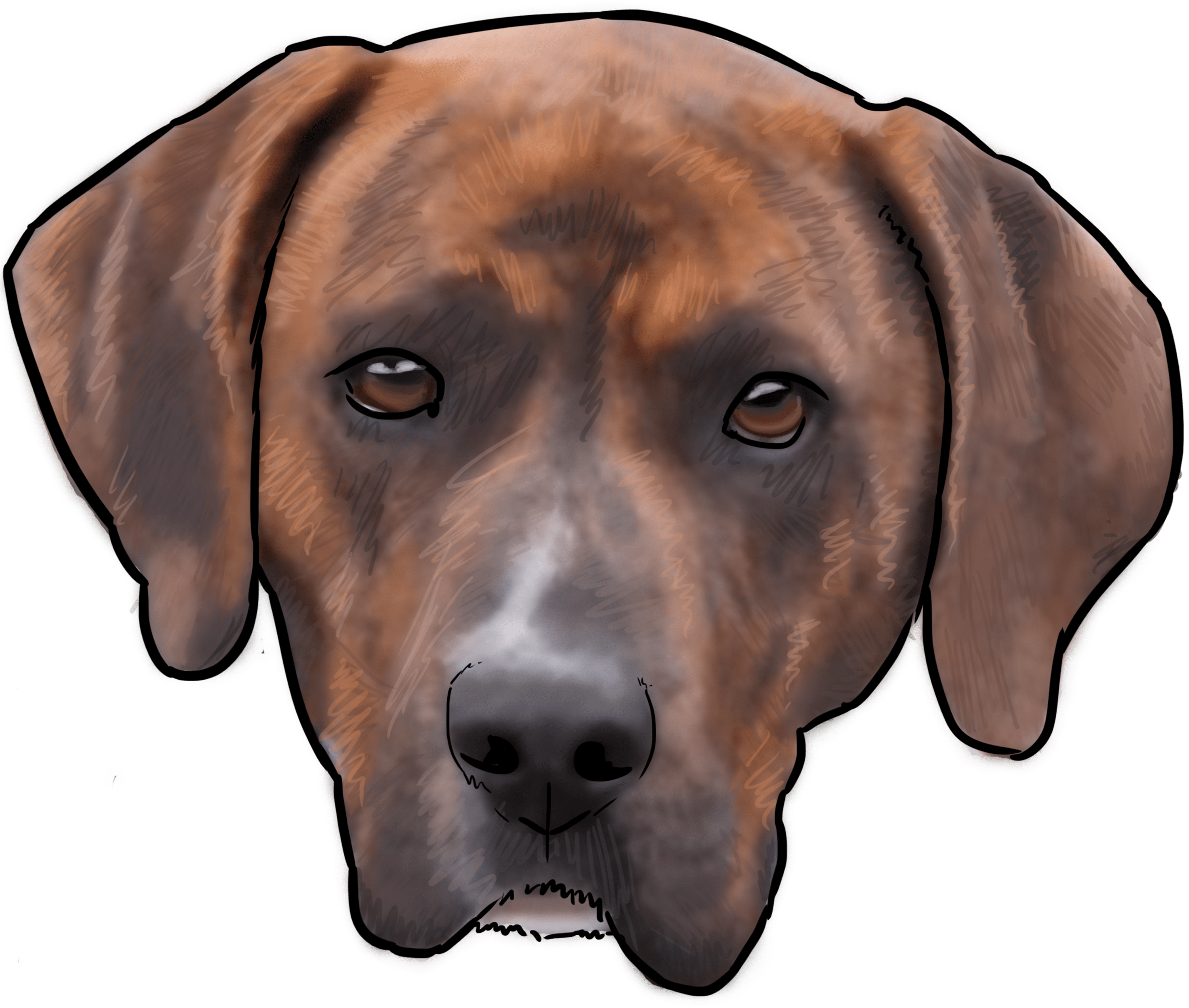 This Week On “why Are You A Dog” We Talk About The - Rhodesian Ridgeback (3000x3000), Png Download