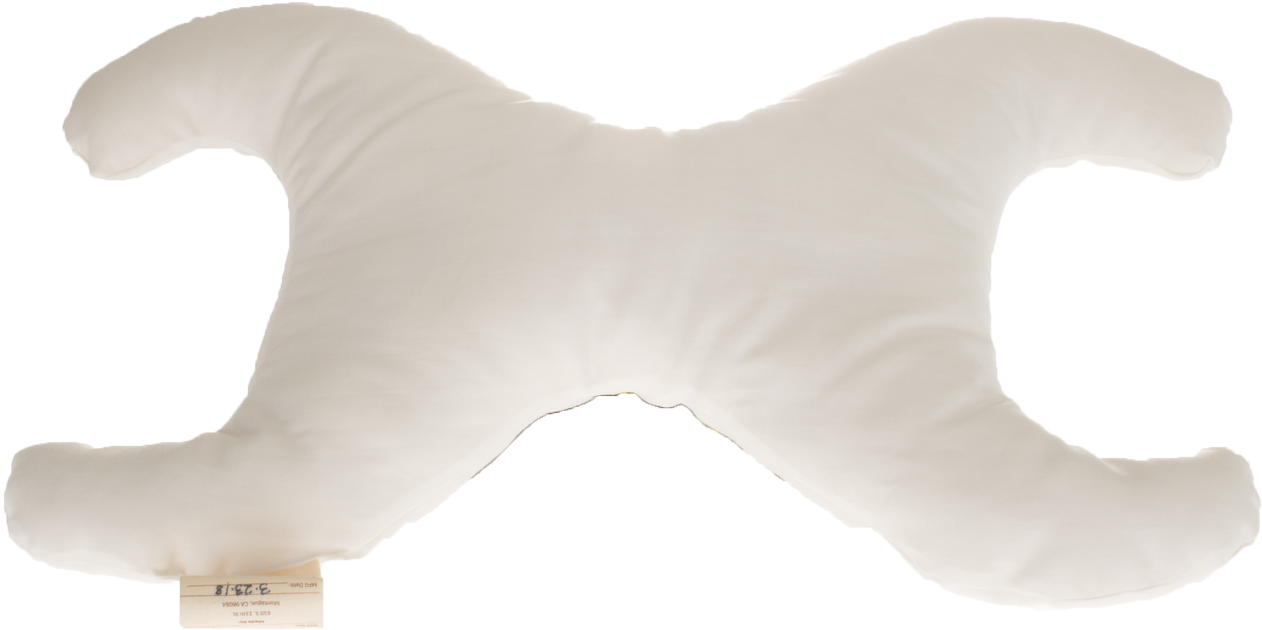 Pillow Body Is 100% Cool Oeko Cert Organic - Eagle (1280x914), Png Download