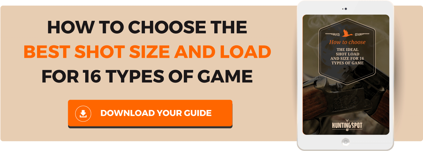 How To Choose The Ideal Shot Size And Load - Gadget (1400x548), Png Download
