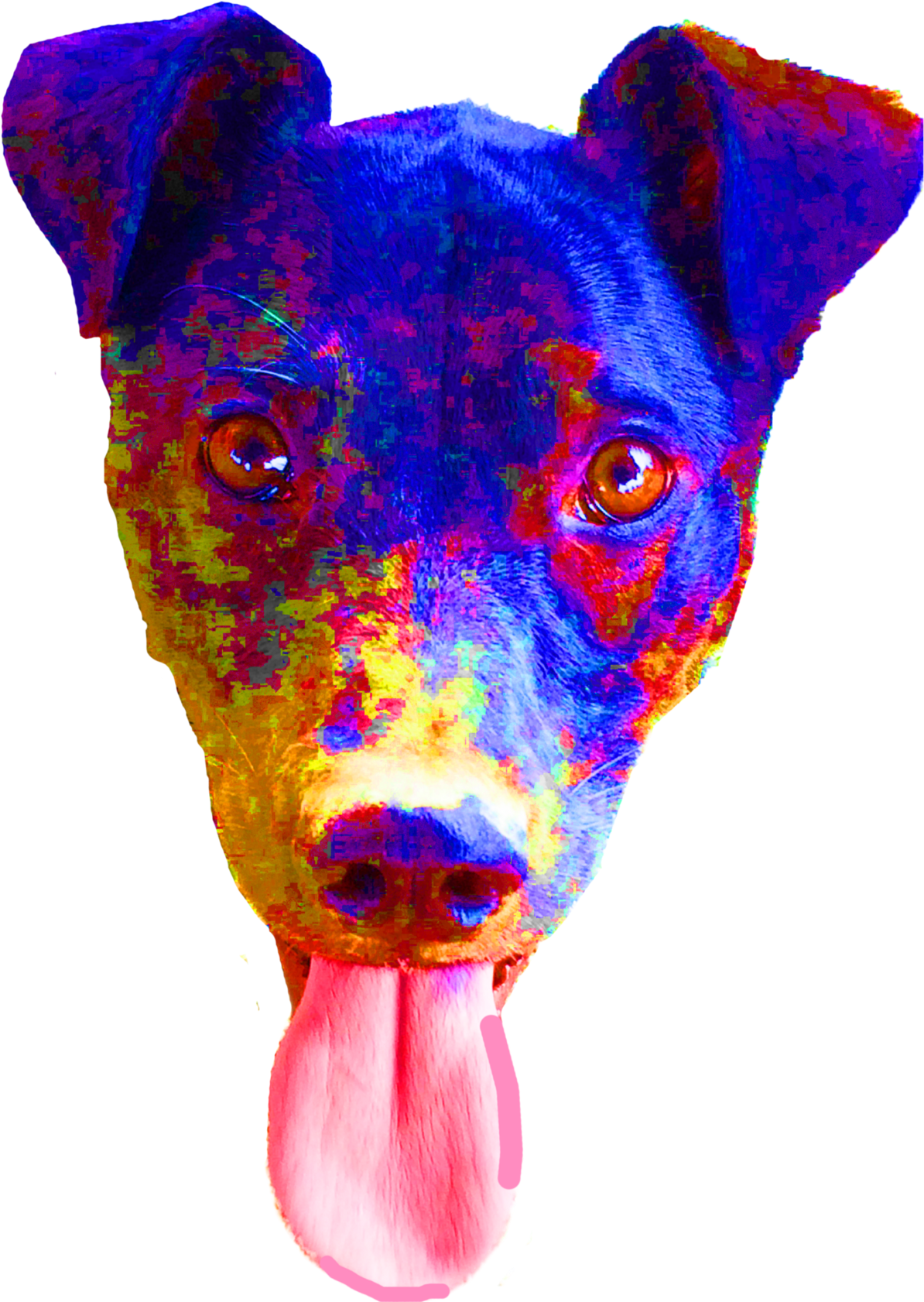 The Image On The Left Is Awesome, But I Didn't Like - Miniature Pinscher (1200x1684), Png Download