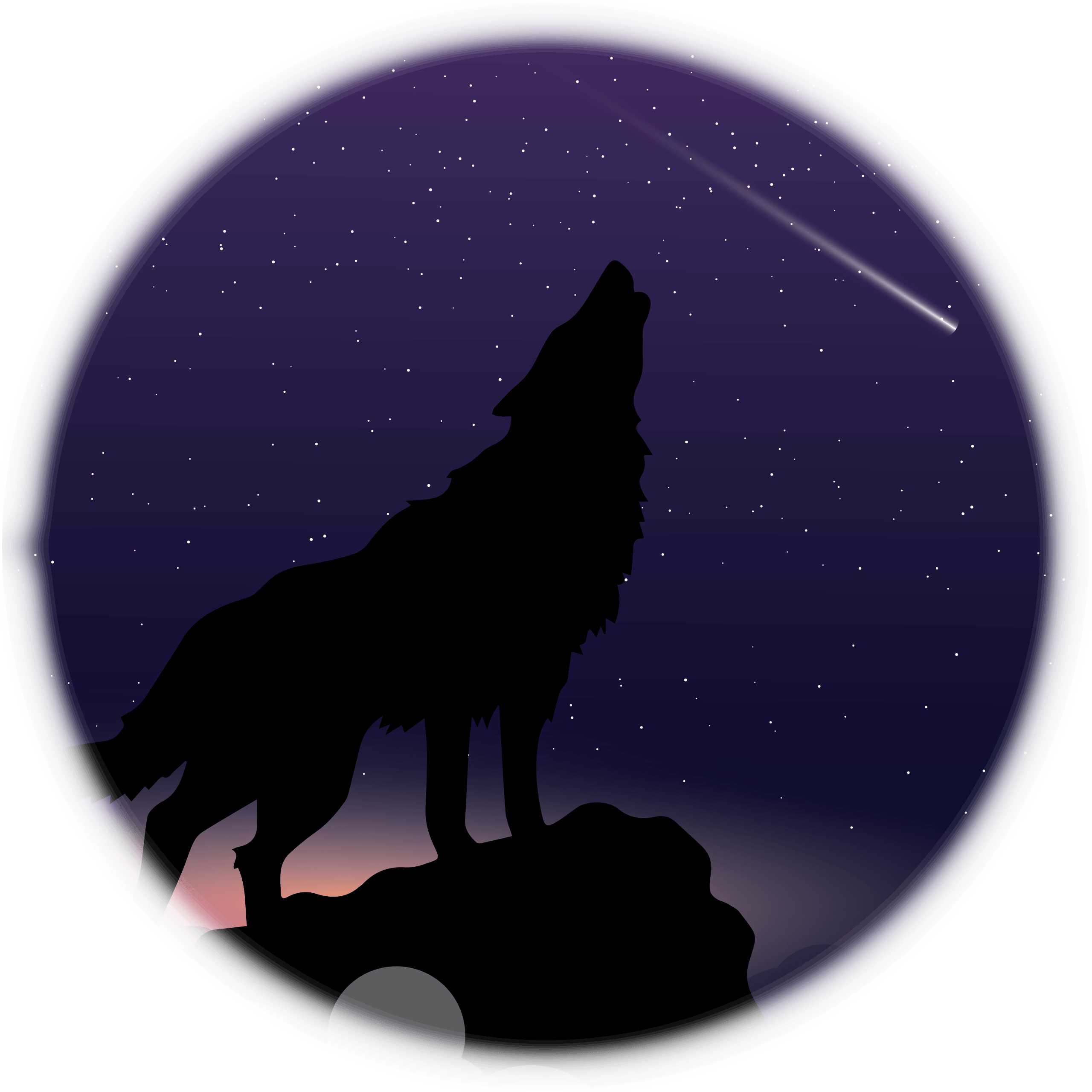 Vlk 2 Obrys - Silhouette (2560x2560), Png Download