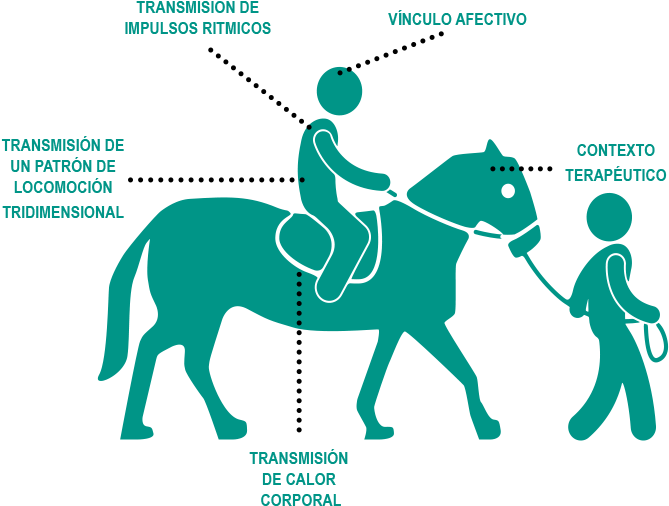 Al-paso - Club Recreational Activities (697x553), Png Download
