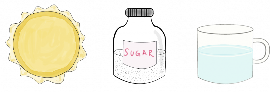 1 10-inch Pie Crust - Glass Bottle (1024x351), Png Download