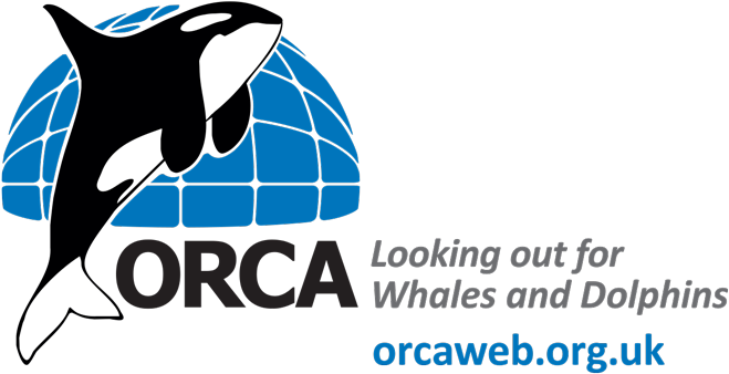 Seiche Training Is Pleased To Announce A Partnership - Orca (853x500), Png Download
