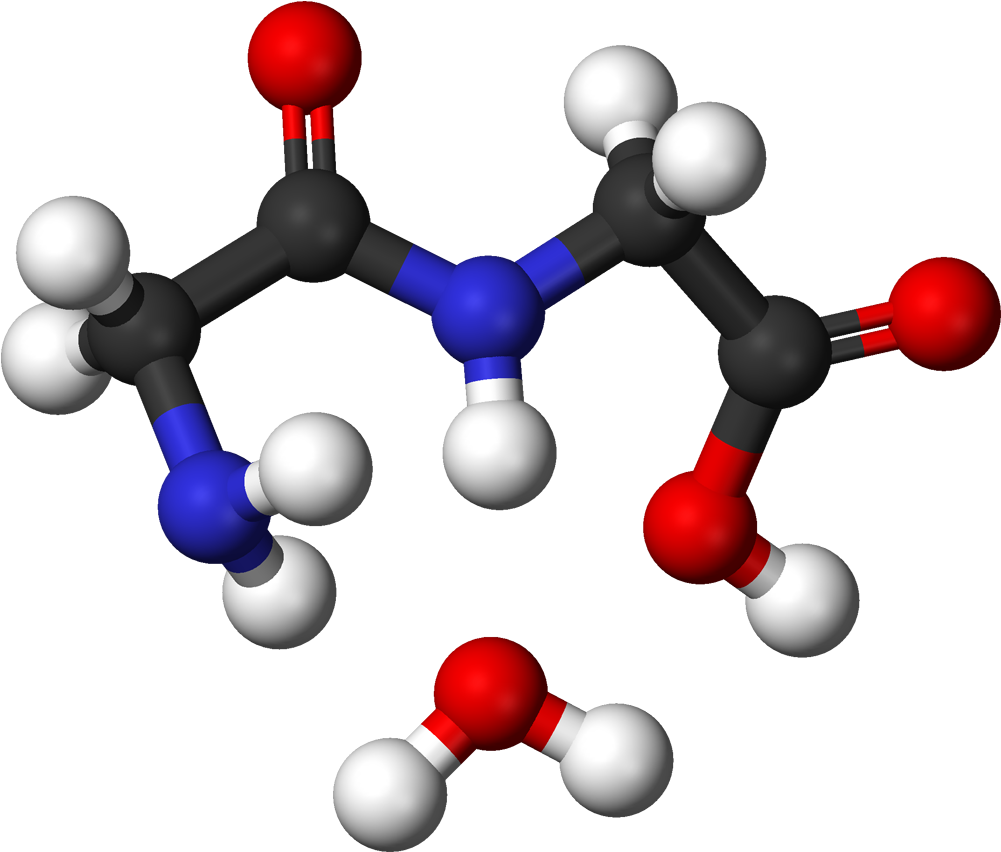 Glycine Condensation 2 3d Balls - Ethyl Acetate 3d Structure (1100x951), Png Download