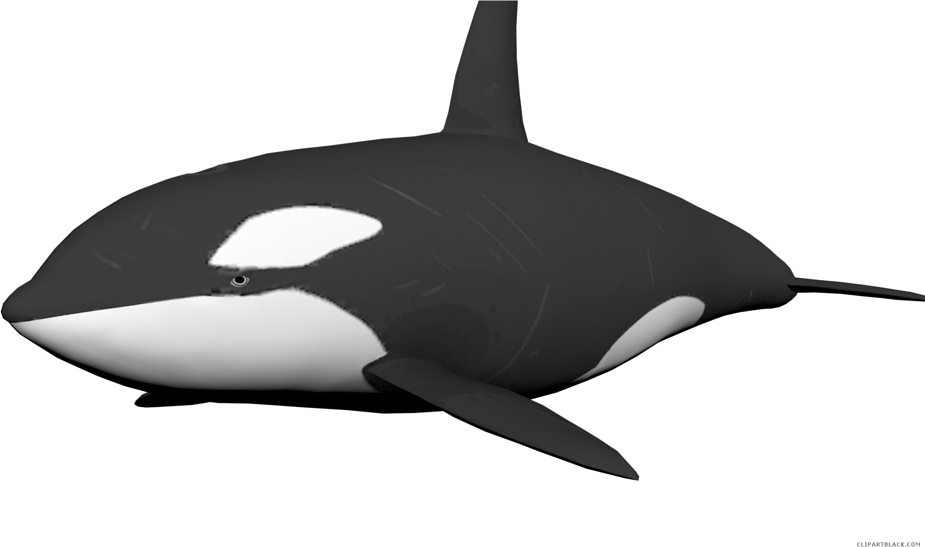 Clipartblack Com Animal Free - Transparent Background Whale Clipart (1920x1080), Png Download