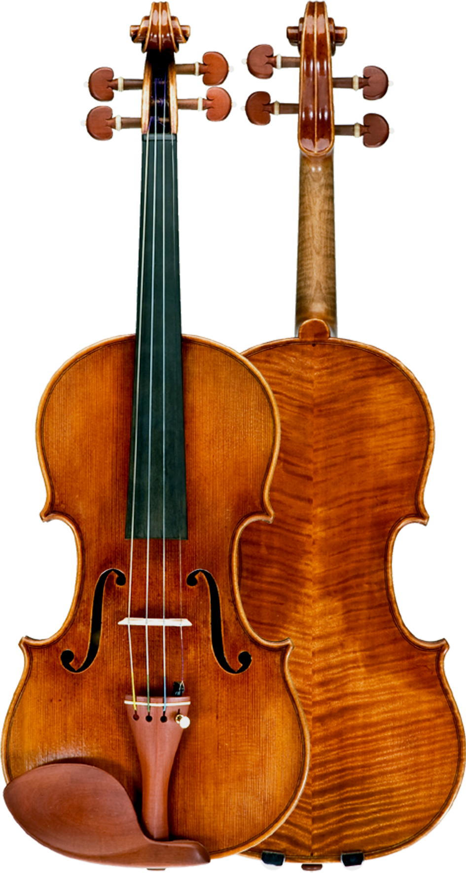 Ming Jiang Zhu A Viola (1054x1800), Png Download