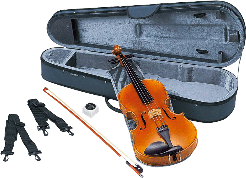 Yamaha Va7sg Viola 4 - Yamaha Av7 Violin (980x1280), Png Download