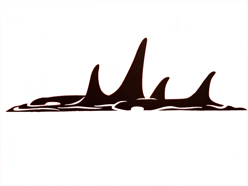 Orca Pod - Anvil Island Metal Orca (800x600), Png Download
