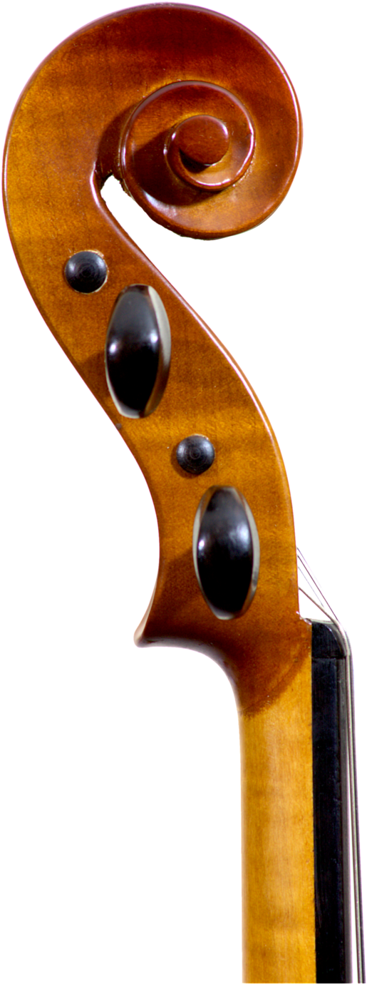 Attack Scroll - Violin (1000x1600), Png Download