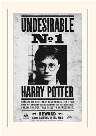 Harry Potter No 1 Undesirable Poster (528x600), Png Download
