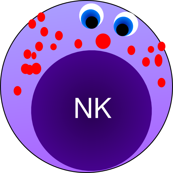 Nk Cell Clip Art - Natural Killer Cell Clipart (600x600), Png Download