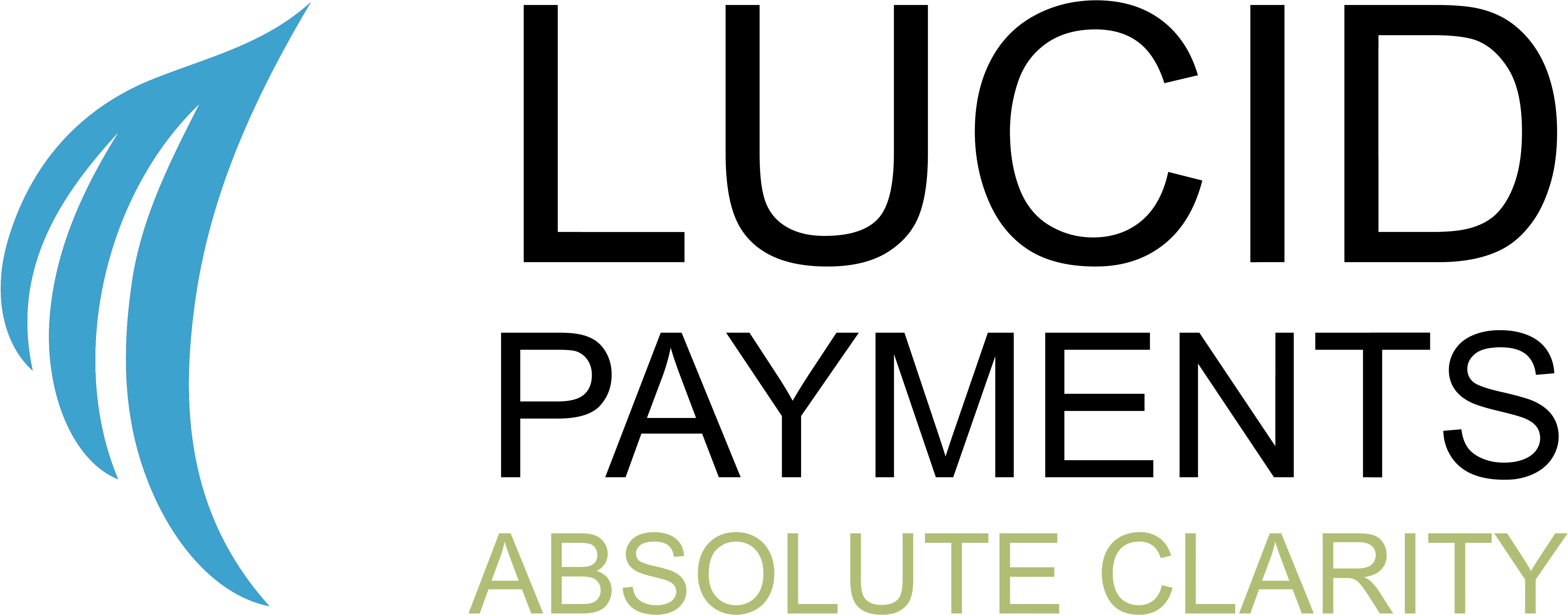 Lucid Payments - Second Amendment (6500x2406), Png Download