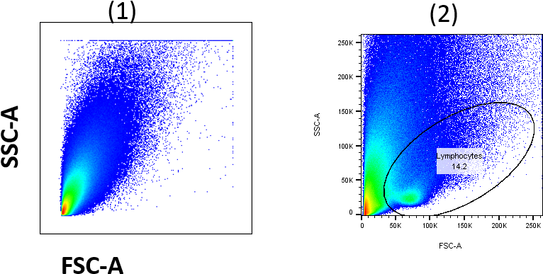 Tumor Cells At Different Voltage - Tumor Infiltrating Lymphocytes Fsc Ssc (789x441), Png Download