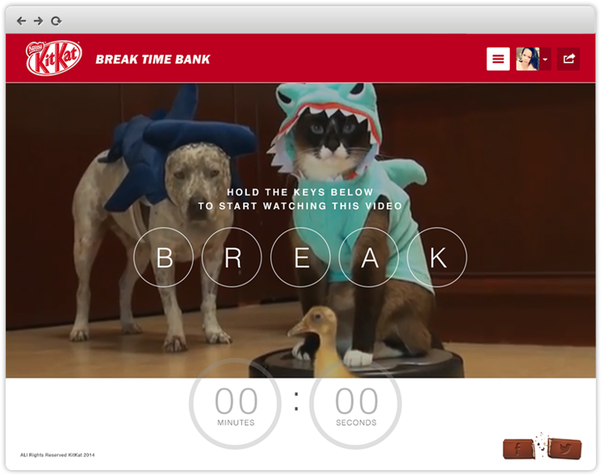 Timebanka - Cat On A Roomba (1000x750), Png Download