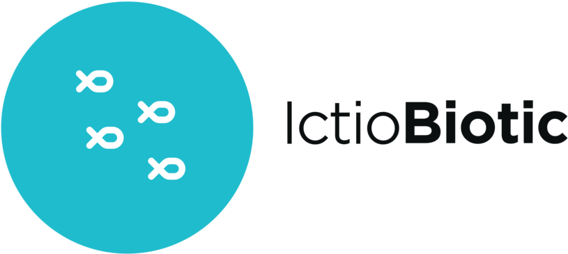 1 - Circle (1000x773), Png Download